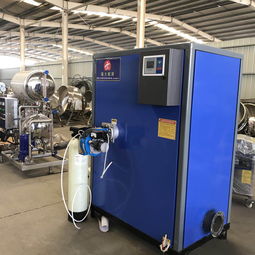 環(huán)保蒸汽鍋爐報(bào)價(jià) 廠家