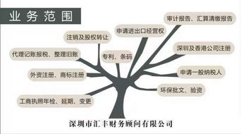 深圳進(jìn)出口經(jīng)營(yíng)權(quán)與代理進(jìn)出口服務(wù)全解析